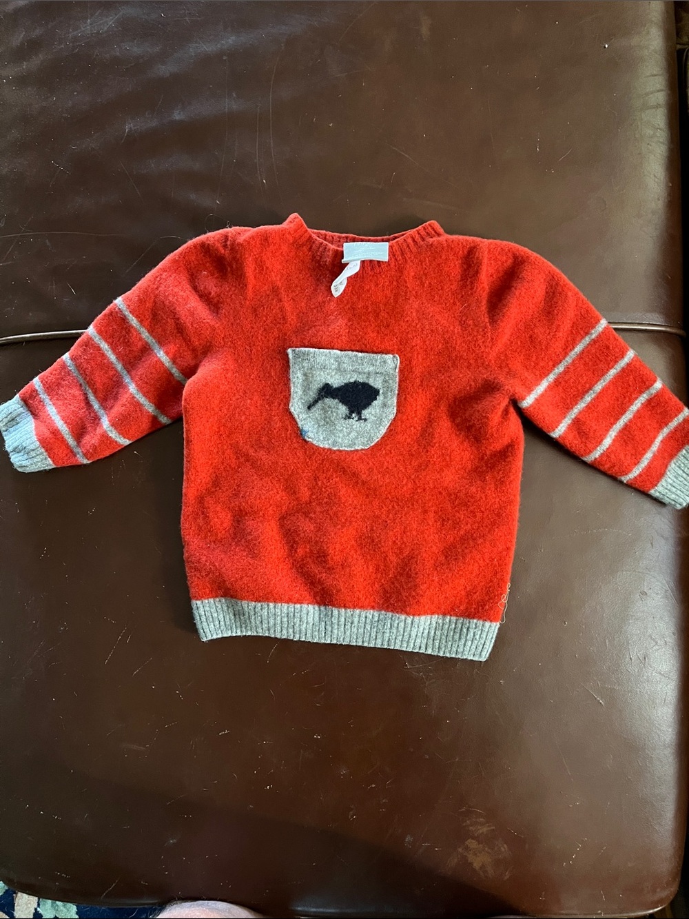 Kids Red Crewneck Sweater with New Zealand Bird Gray Trim and Pocket